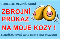 Preukaz Toto je medzinárodný zbrojný preukaz
