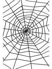 Pavúčia sieť s pavúkom