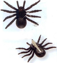 Spona do vlasov pavúk