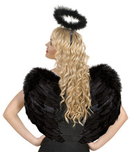 Krídla perové čierne 37x50cm