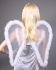 Anjelské krídla, priehľadné