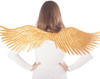 Zlaté anjelské krídla