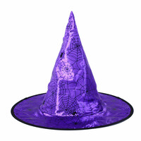 Čarodejnica/Halloween fialový klobúk pre deti