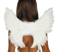 Anjelské krídla s perím 55x45 cm