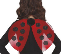 Krídla lienky 40x30 cm