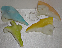 čarodejnícky nos (rôzne druhy)