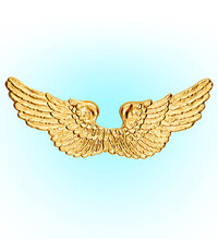 Detské anjelské zlaté krídla, 88 x 30 cm