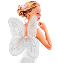 Biele krídla 58x46 cm