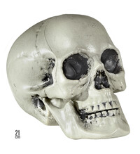 PVC lebka 21 cm