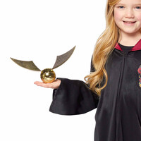 Ohnivá strela, Harry Potter