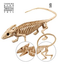 Kostra leguána 43 cm