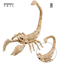 Kostra škorpióna 30 cm