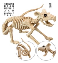 Kostra potkana 40 cm