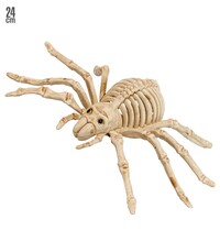 Kostra pavúka 24 cm