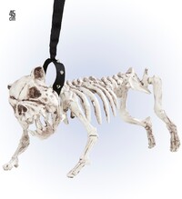 Kostra psa na vodítku (45 cm)