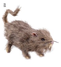 Chlpatý potkan (21 cm)