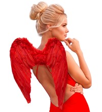 Červené krídla, 50 x 40 cm