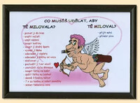 Čo musíte urobiť, aby vás milovala - Schéma