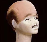 Plešaté maľované vlasy