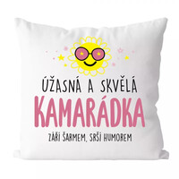 Úžasný a skvelý priateľ - vankúš