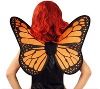 Motýlie krídla, 57 x 50 cm