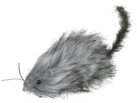 Šedý potkan, 16 cm