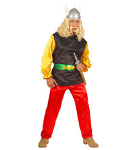 Asterix pánsky kostým - L (II. Akosť)