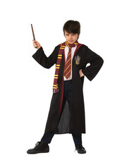 Detská kúzelnícka sada Nebelvír, Harry Potter