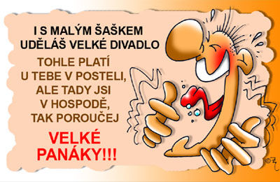 Preukaz Aj s malým šaškom urobíš veľké ...