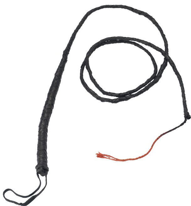 Bič dlhý