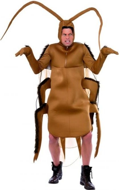 Pánsky kostým chrobák