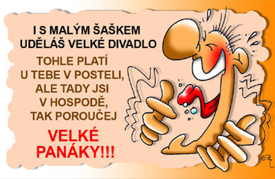 Preukaz Aj s malým šaškom urobíš veľké ...