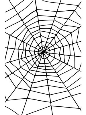 Pavúčia sieť s pavúkom