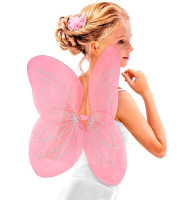 Ružové krídla 58x46 cm