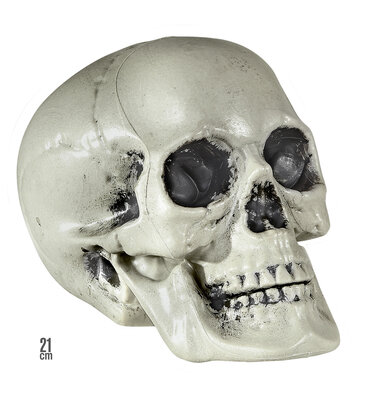 PVC lebka 21 cm