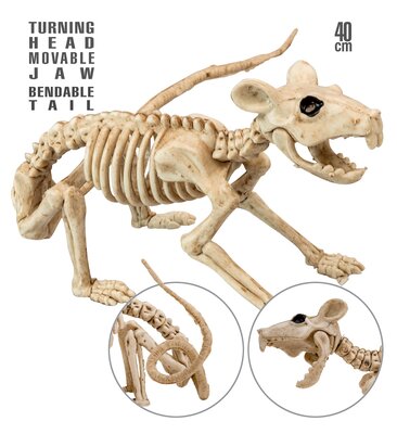 Kostra potkana 40 cm