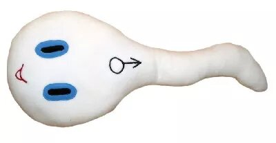 Vankúšová spermia na