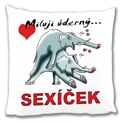 Vankúš - Milujem údernú sexuálnu mačičku