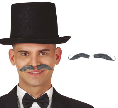 Pán so sivými fúzmi