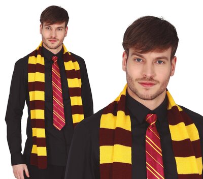 Šatka Nebelvír, Harry Potter