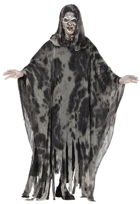 Šedý tajomný duch