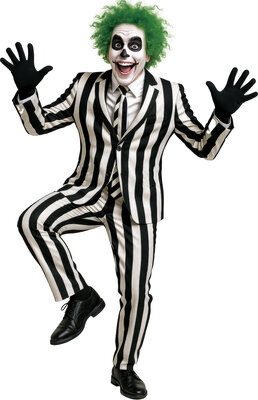 Pánsky halloweenský kostým Beetlejuice